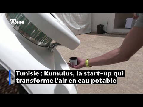 Tunisie : Kumulus, la start-up qui transforme l'air en eau potable