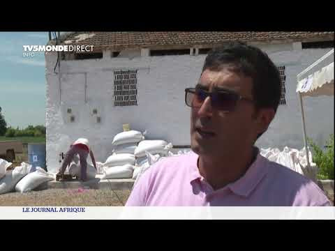 Tunisie : Le retour des semences traditionnelles
