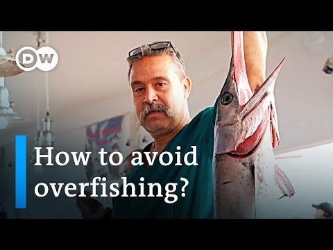 الصيد المستدام في تونس