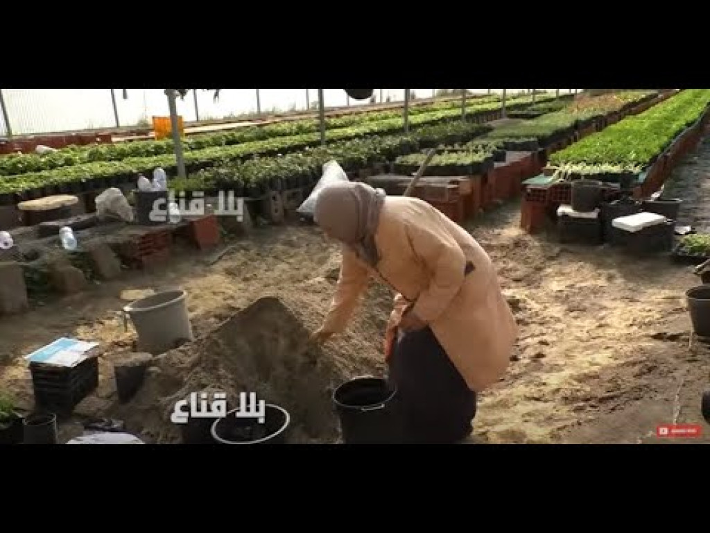 لن تصدق ماذا حدث في تونس..